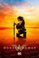 DC Wonder Woman Poster-Z -Store-DZ Algerie Algeria by ITsup-DZ