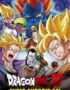 Dragon Ball Saga Dragon Ball Z Poster-Z -Store-DZ Algerie Algeria by ITsup-DZ