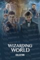 Wirzarding World Wizarding World Poster-Z -Store-DZ Algerie Algeria by ITsup-DZ